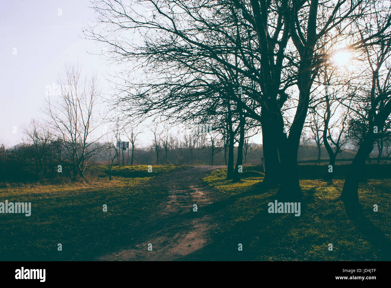 Path in autumn forest Stock Photo - Alamy