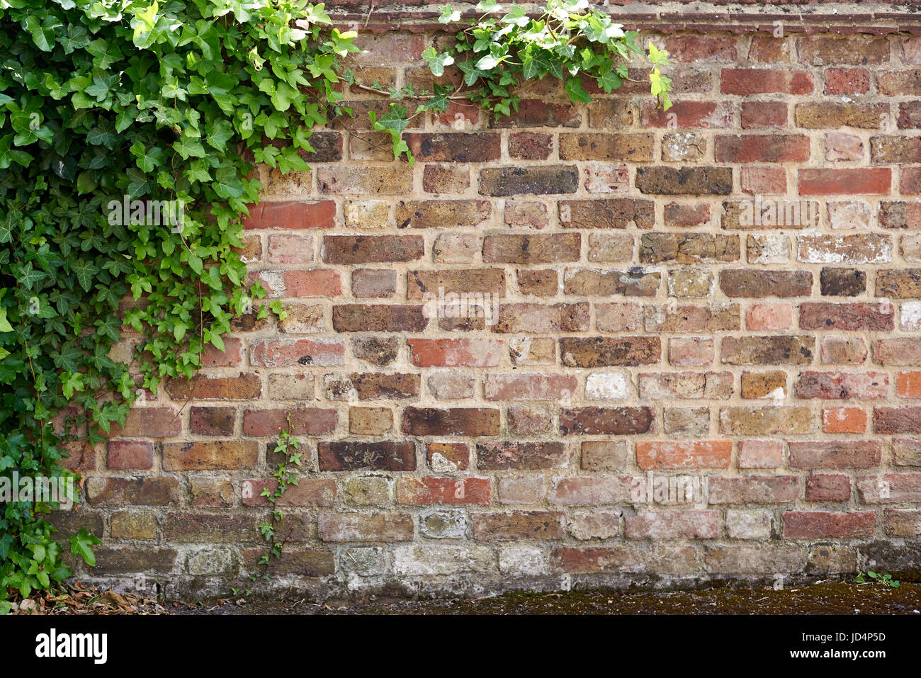 Brick 2024 wall background