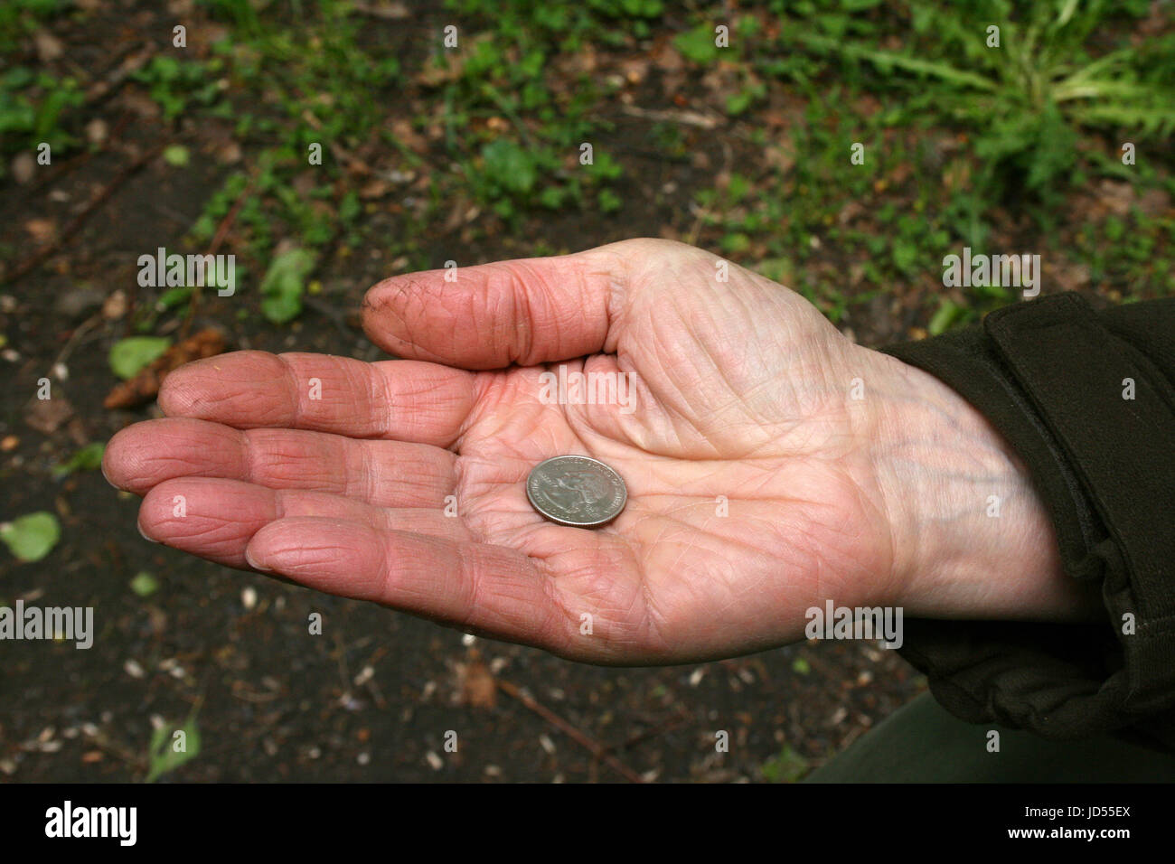 old man´s hand with a silver dollar Stock Photo