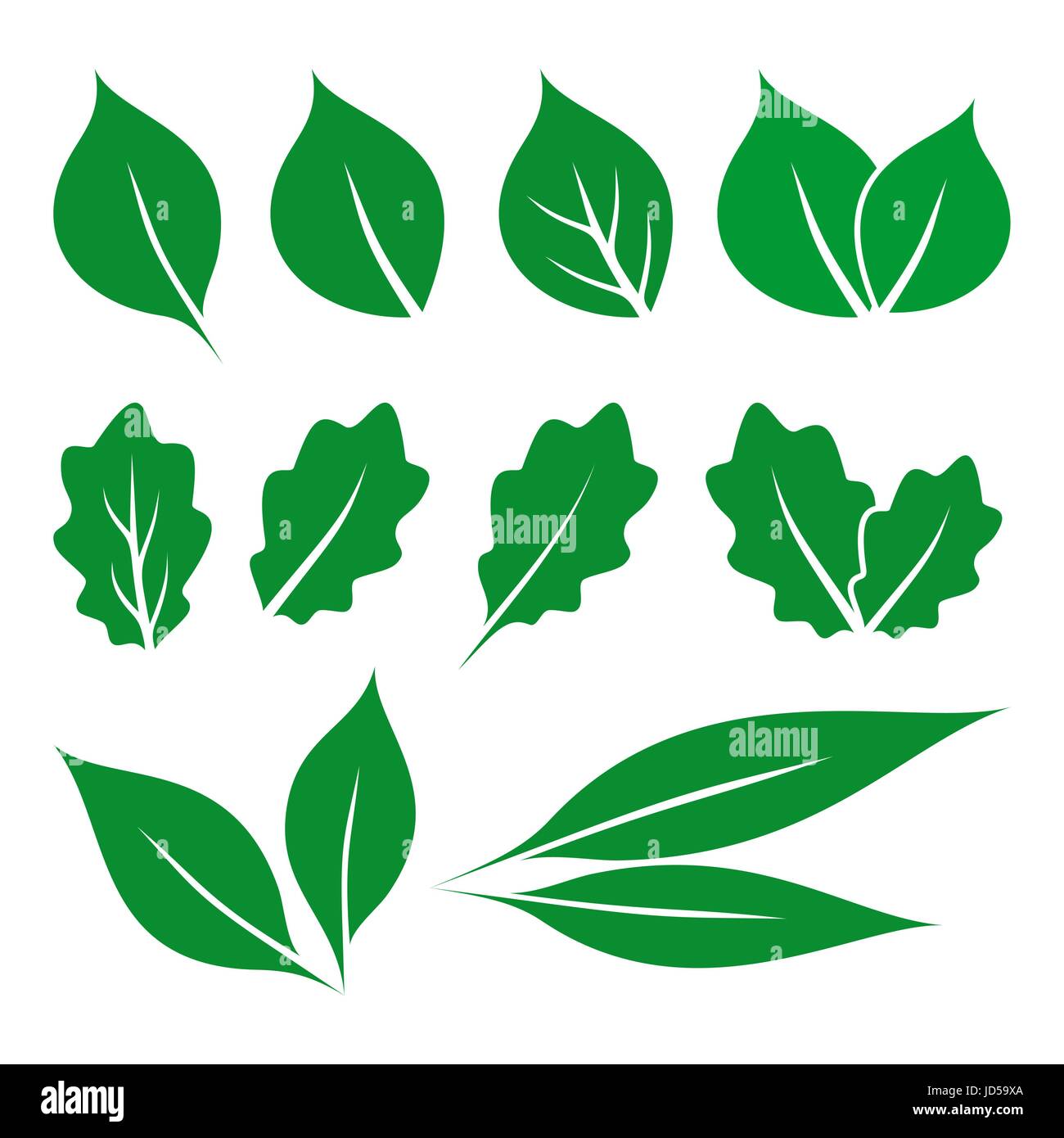 Green leaves Stock Vector