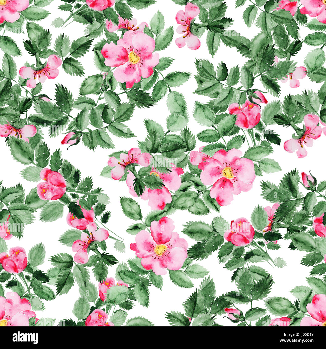 Briar blossom flower pattern Stock Photo - Alamy