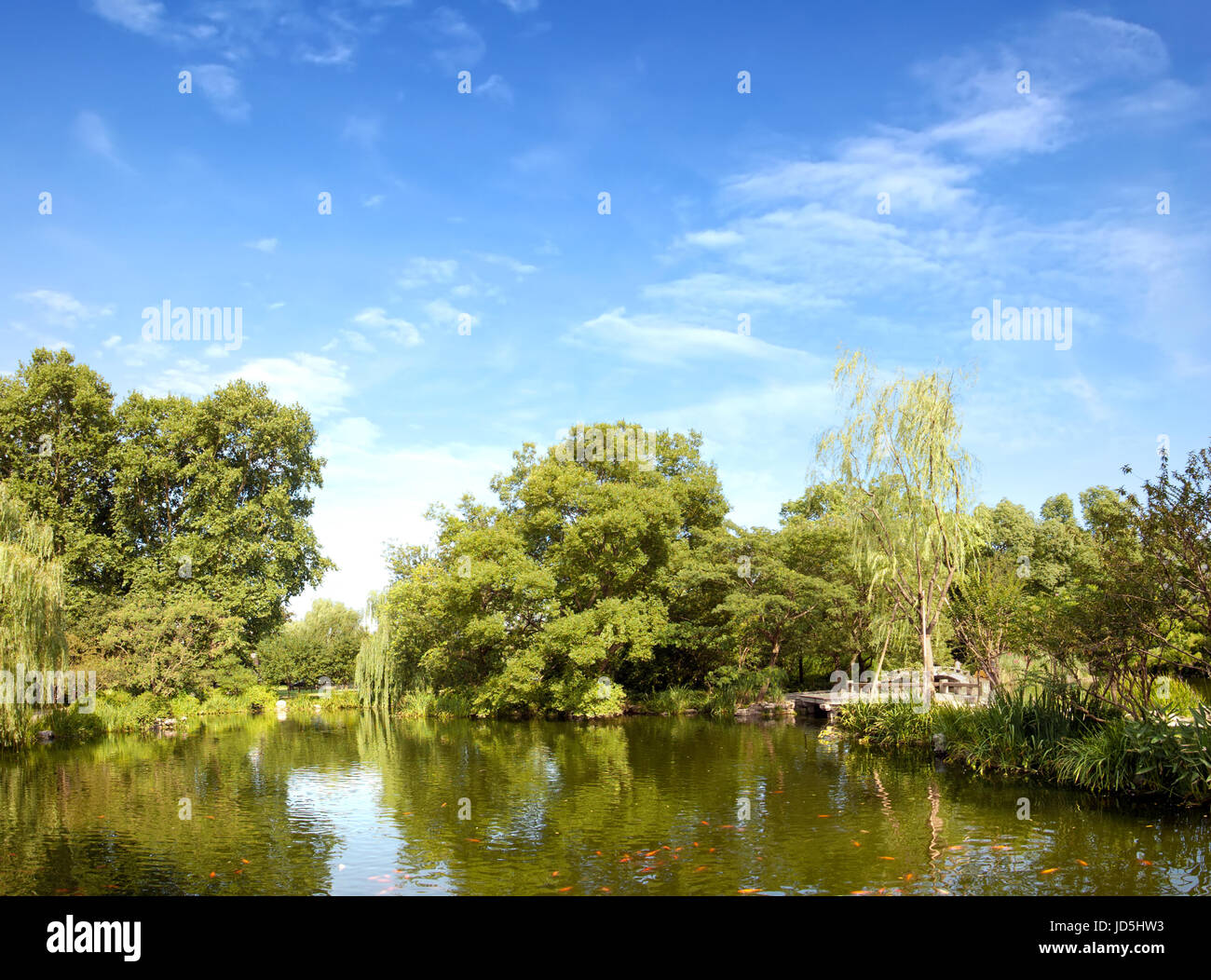 Goldfish pond inside park hi-res stock photography and images - Alamy
