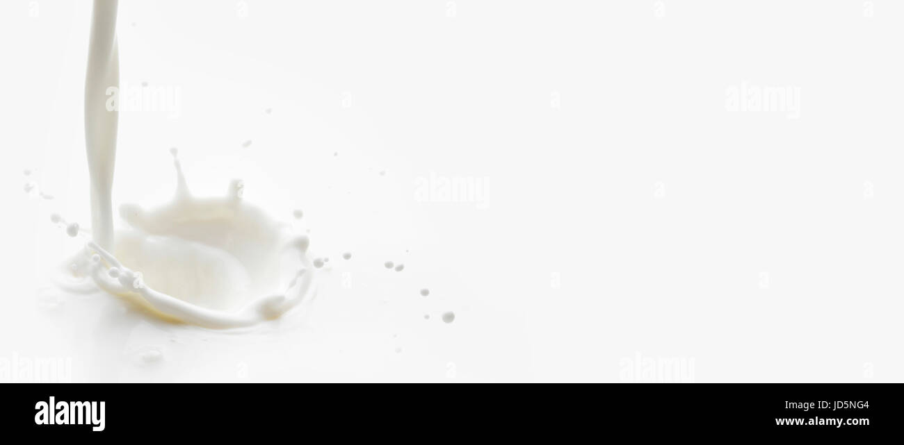 Pouring milk splash isolated on white background macro Stock Photo - Alamy