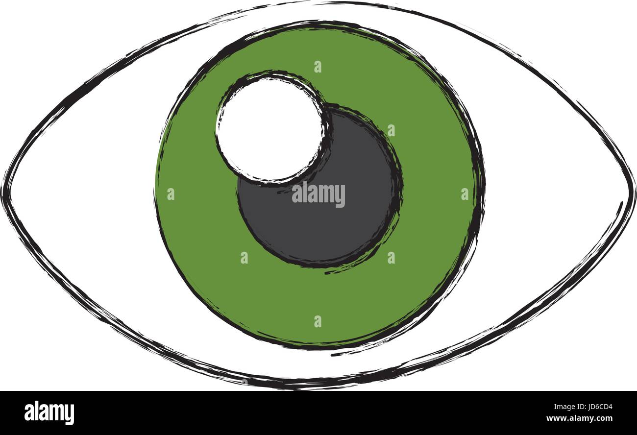 eye icon over white background vector illustration Stock Vector Image ...