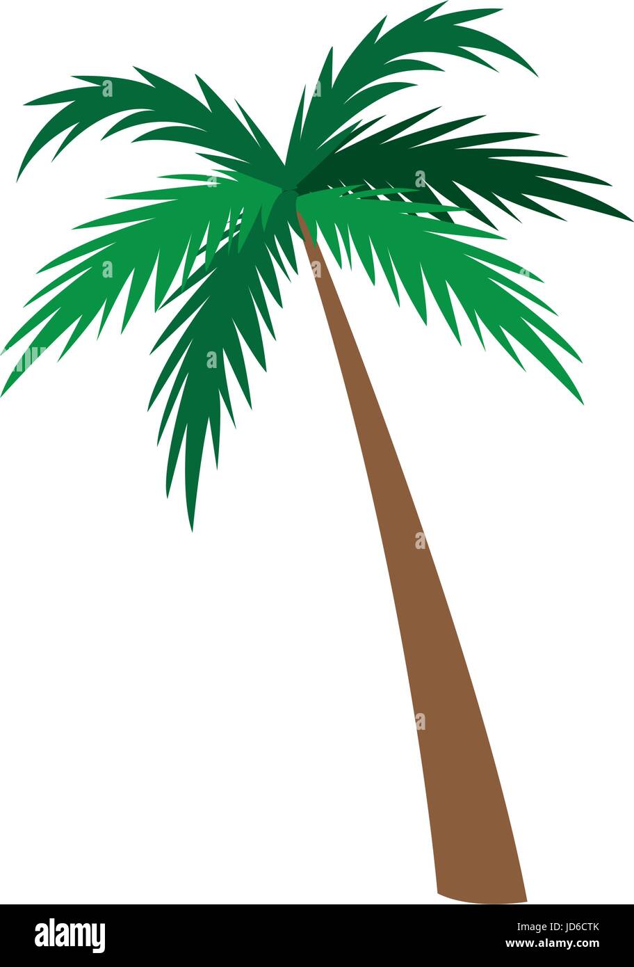 palm tree natural tropical botanical Stock Vector Image & Art - Alamy