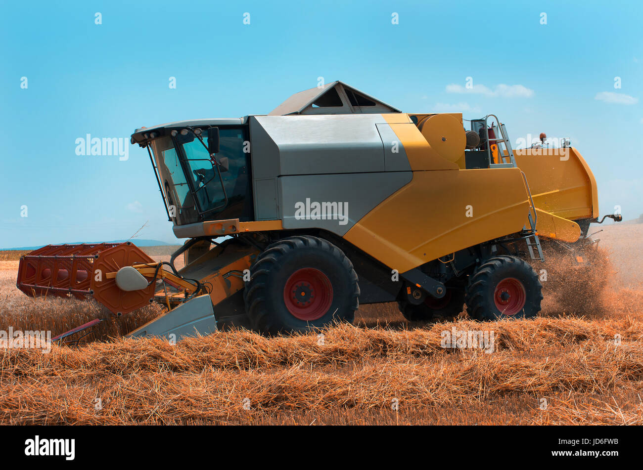 Grain harvesting with combine harvester Stock Photo Alamy
