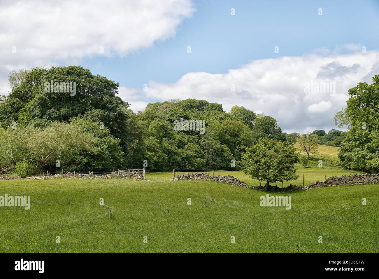 The picturesque Washburn valley, Nidderdale, AONB Stock Photo