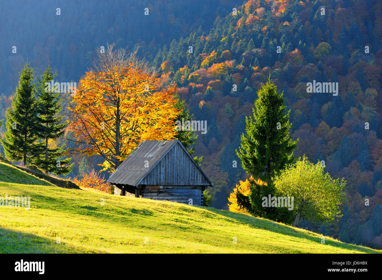 Mountain autumn landscape with colorful forest Stock Photo - Alamy