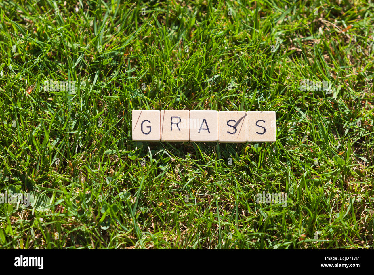 scrabble tiles lying on grass in the garden Stock Photo