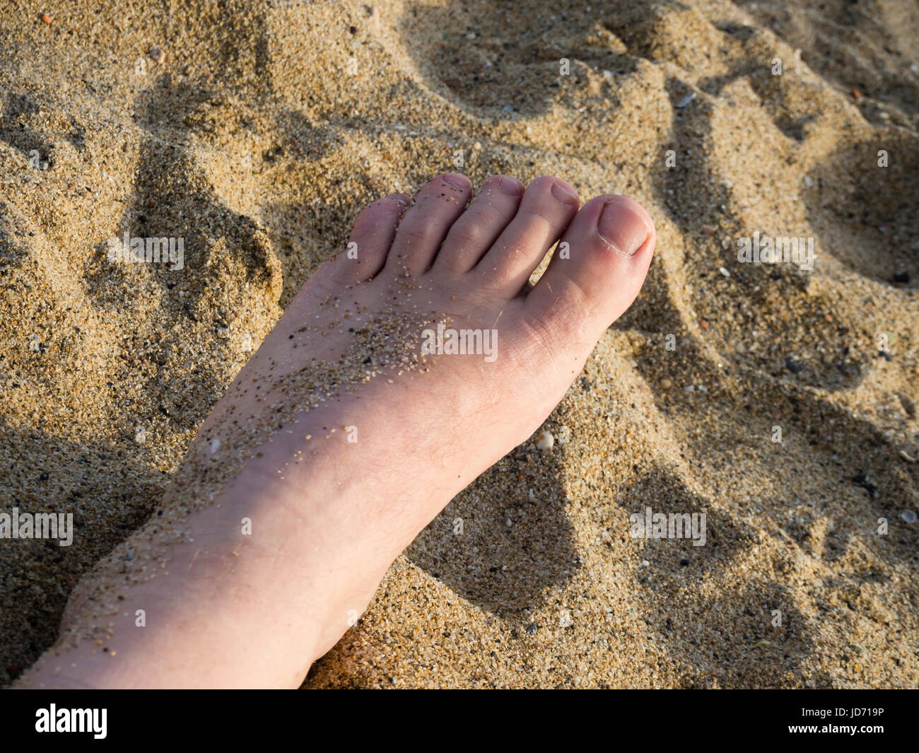 Sand Foot Barefoot feet in the beach sand. Evening sun, relaxed atmosphere Stock ...