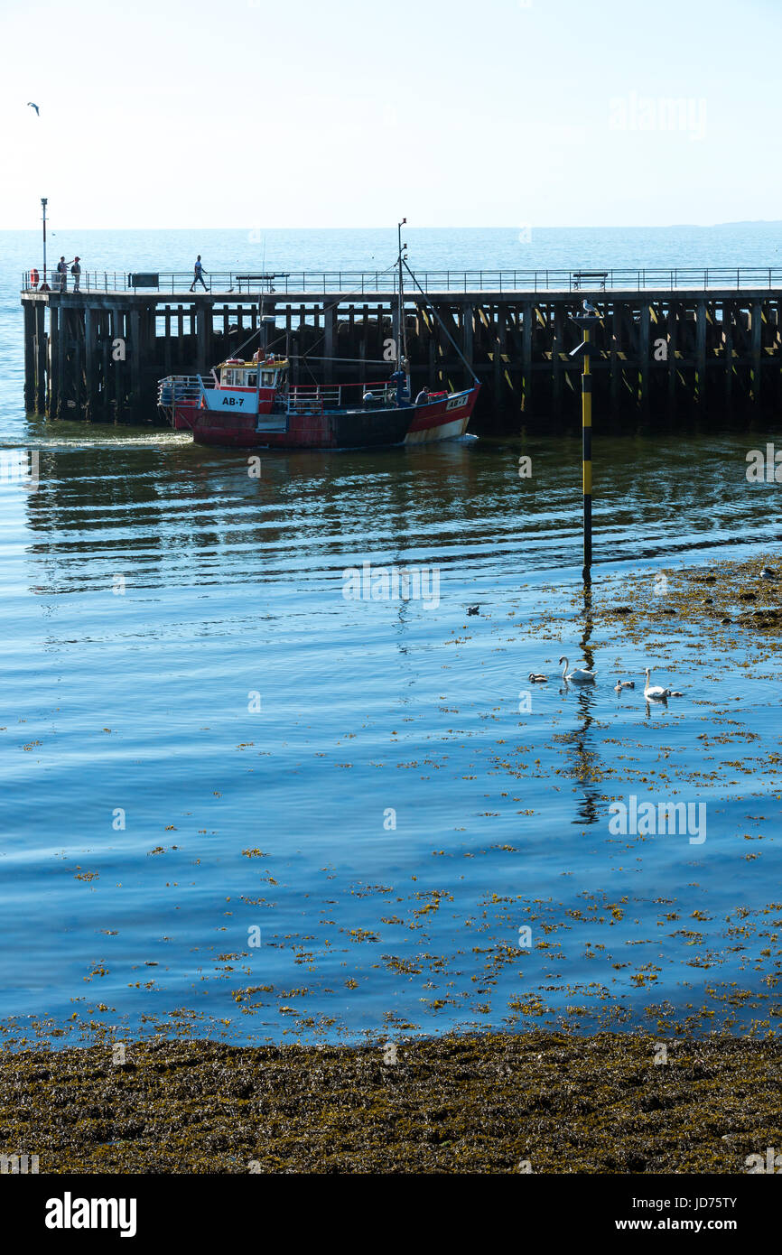 A fishing boat entering the harbour Stock Photo - Alamy