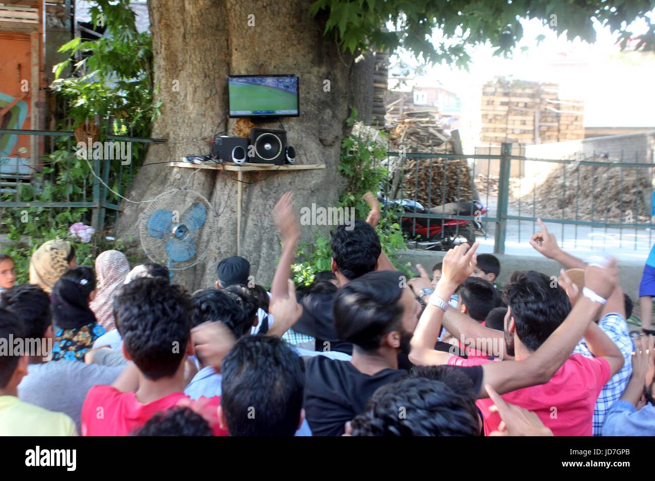 Anantnag, India. 18th June, 2017. People Cheers for Pak cricket Team on the Road side with television installed inside a Chinar Tree at Nathpora Kanabal in Anantnag Town, 52 Km from Srinagar. Credit: Muneeb Ul Islam/Pacific Press/Alamy Live News Stock Photo