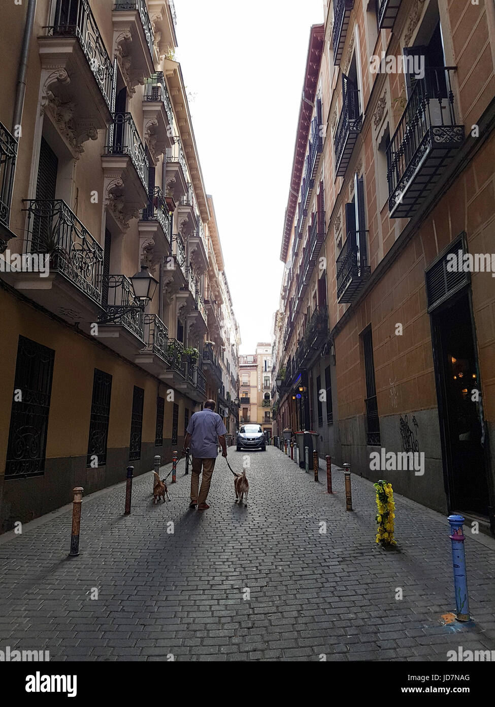 Walk at Madrid City street Stock Photo