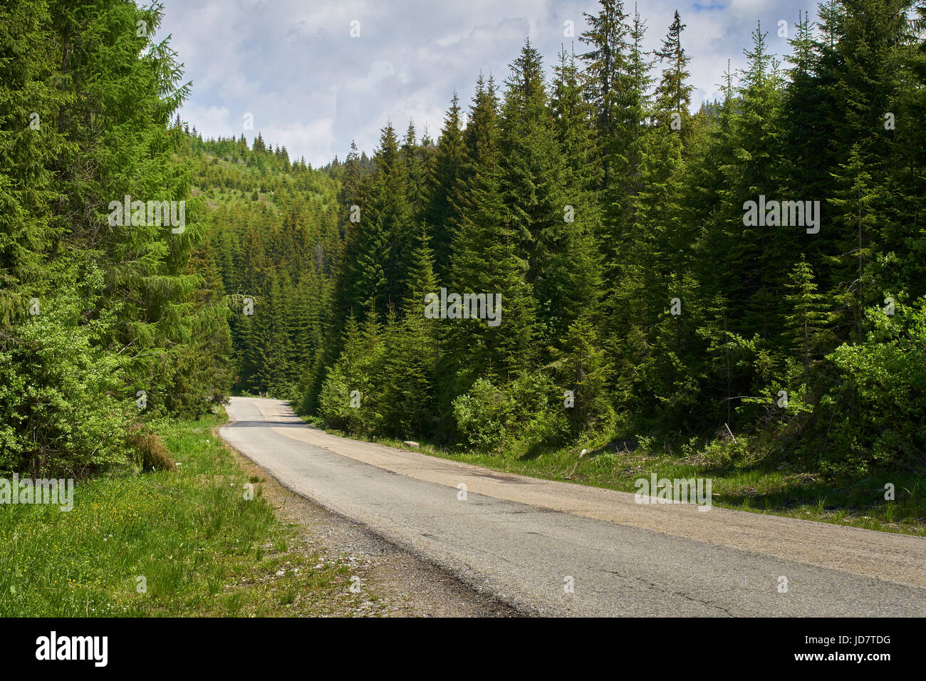 Goig Stock Goig hi-res stock photography and images - Alamy
