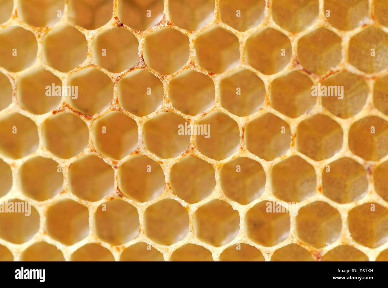 Real Honeycomb High Resolution Stock Photography And Images Alamy