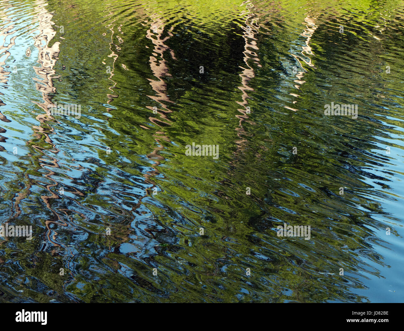 Trees reflecting in Erie Canal Stock Photo - Alamy