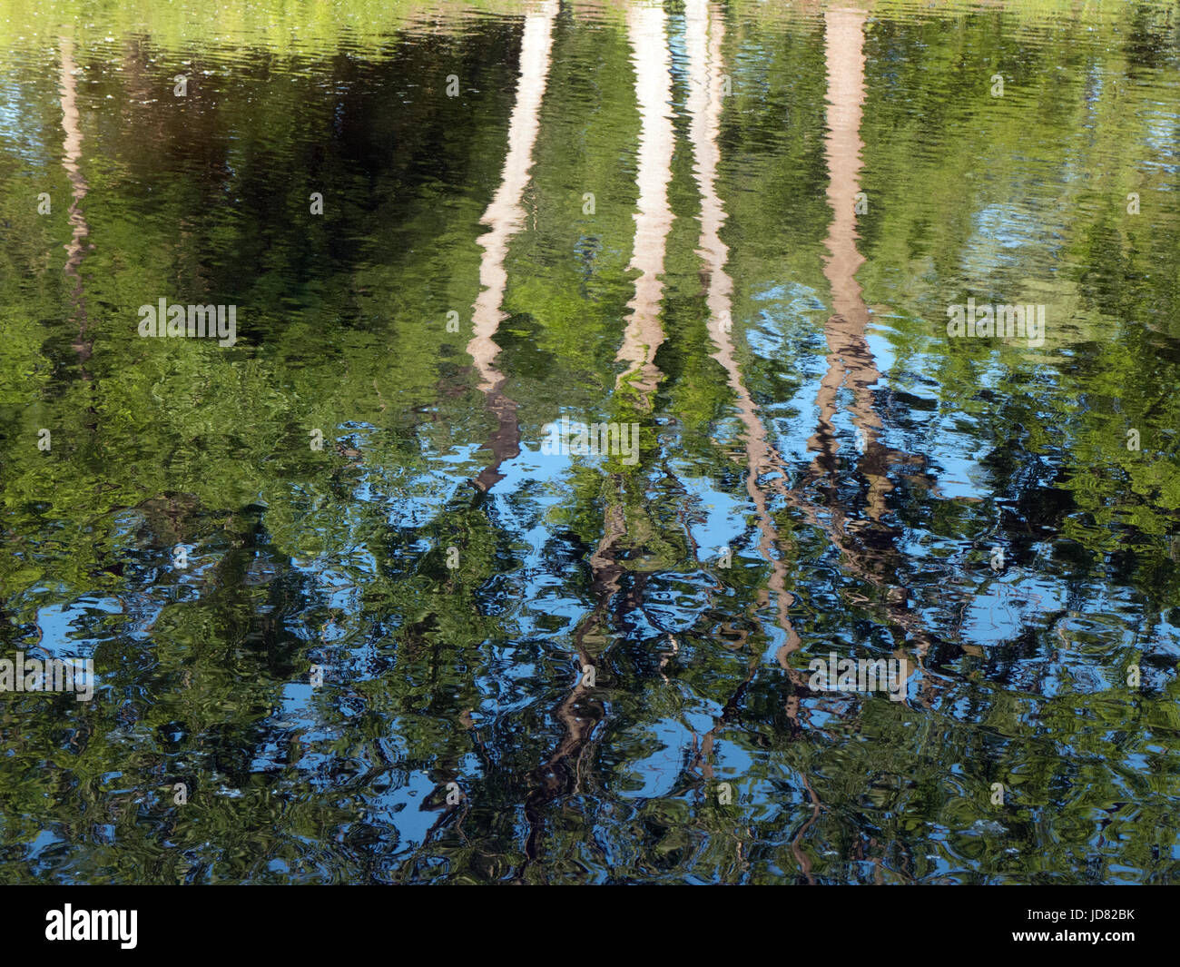 Trees reflecting in Erie Canal Stock Photo - Alamy