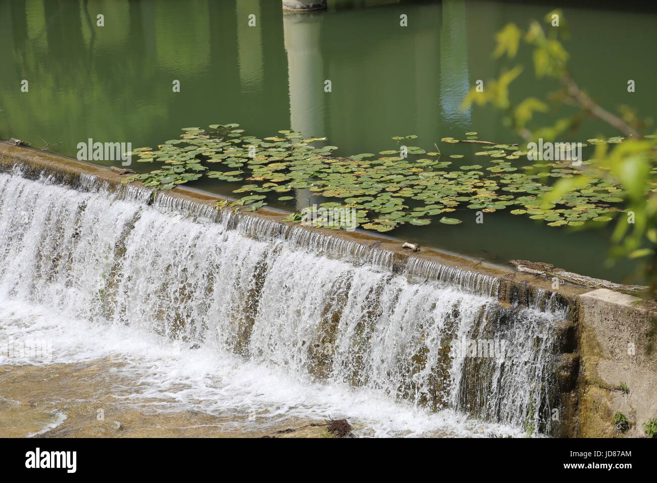 Texas Waterfall with Lily Pads Stock Photo