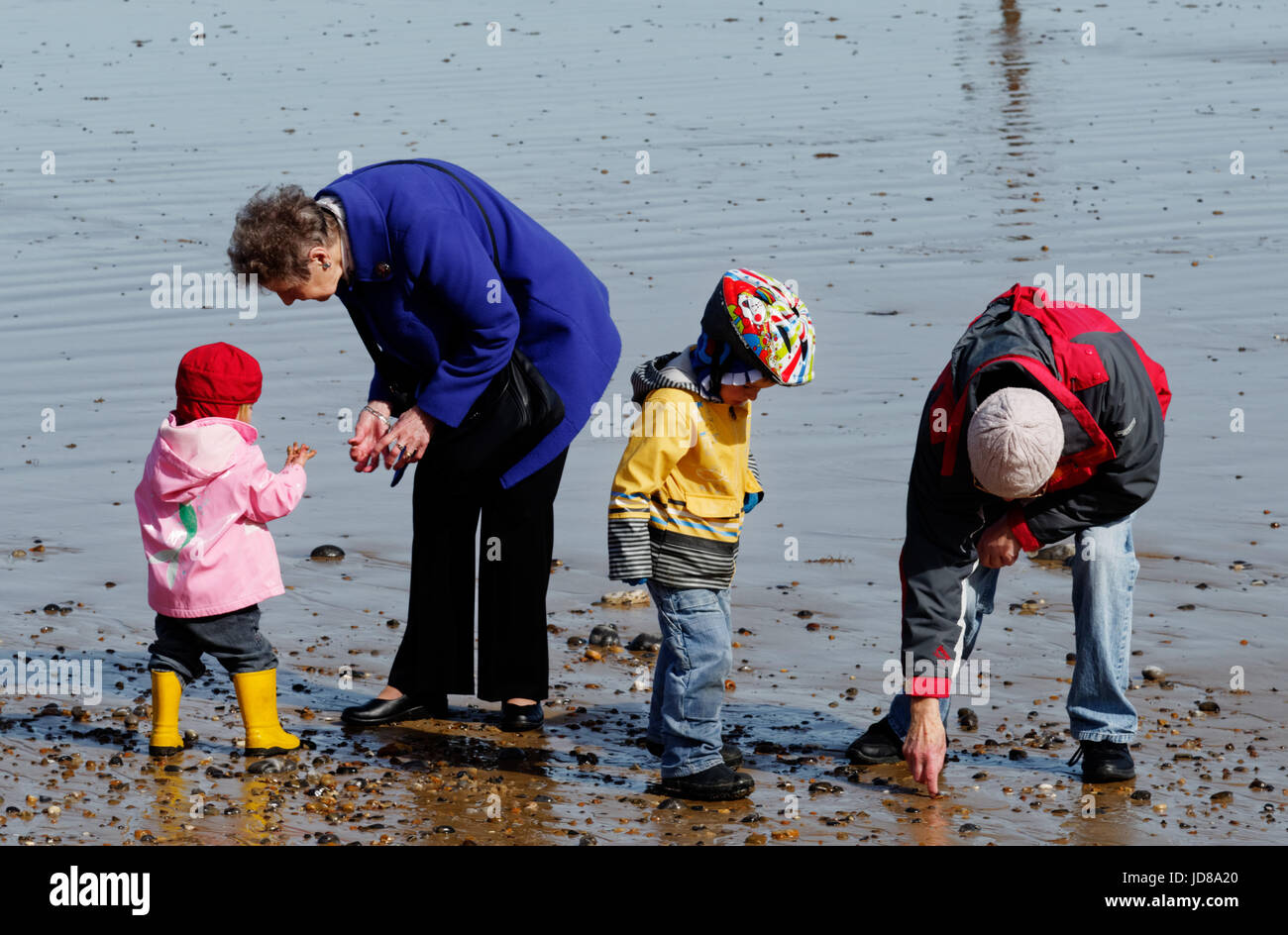 Grandparents and grandchildren playing on the beach Stock Photo