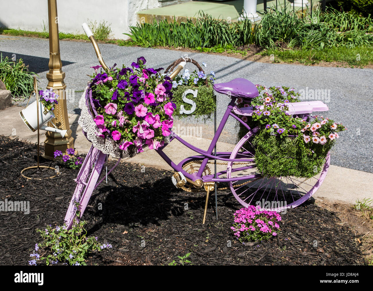 Vintage style garden bicycle painted lavender and decorated with potted flowers, Lancaster County, Pennsylvania, USA, US, flowers in bike, flower pots Stock Photo