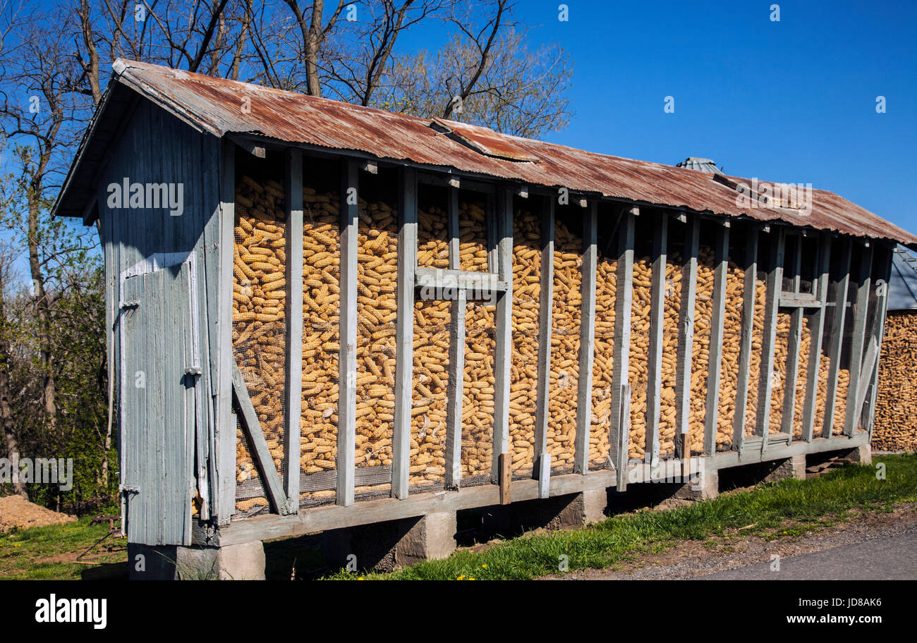 Vintage Corn Crib On A Farm In Lancaster County Pennsylvania Usa