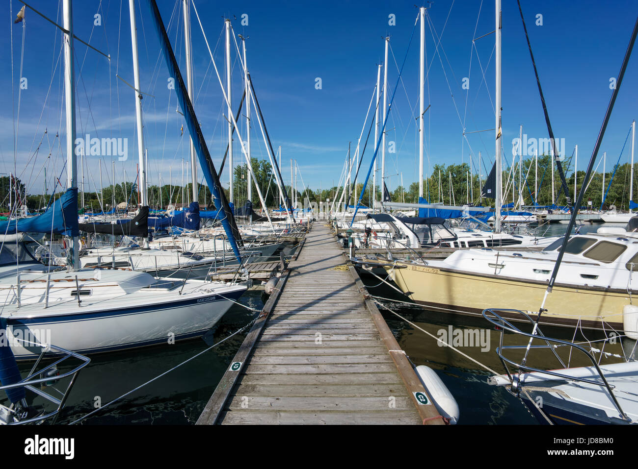 Stationary sailing boats alongside a pier, Toronto, Ontario, Canada, summer. sailing transportation toronto ontario Stock Photo