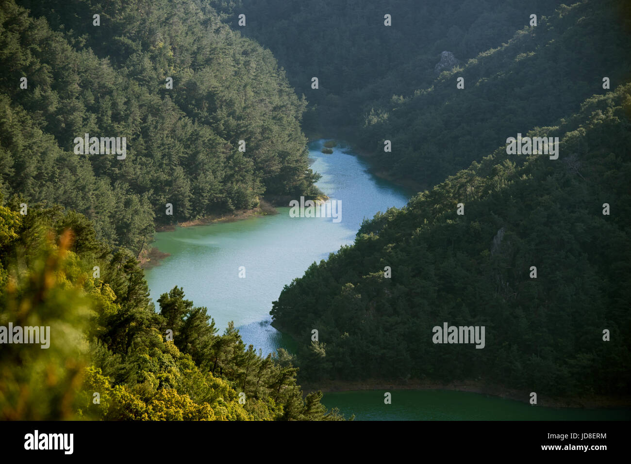 River from top view and between the mountains with pine trees. Stock Photo