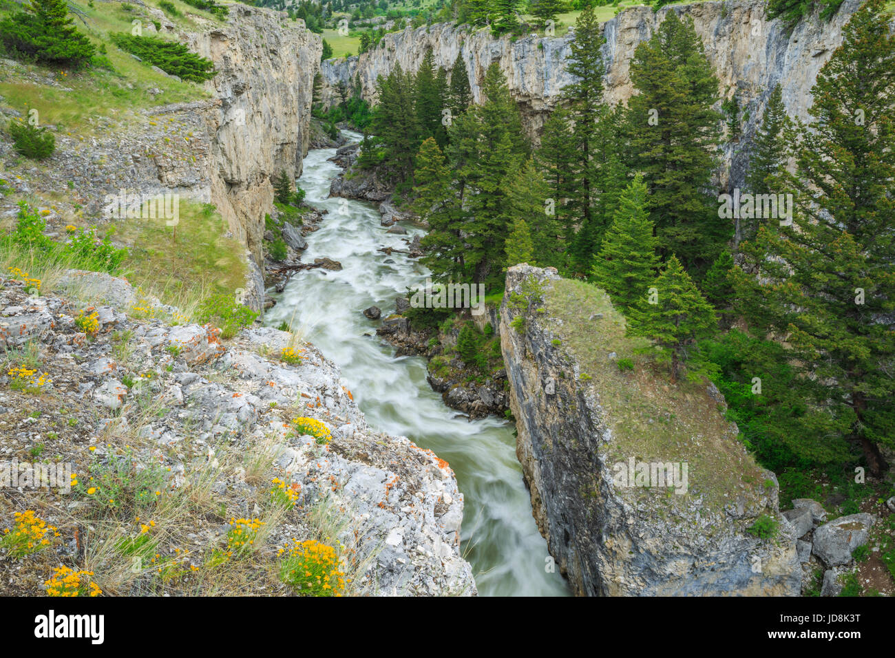 boulder river in canyon below boulder falls near big timber, montana Stock Photo