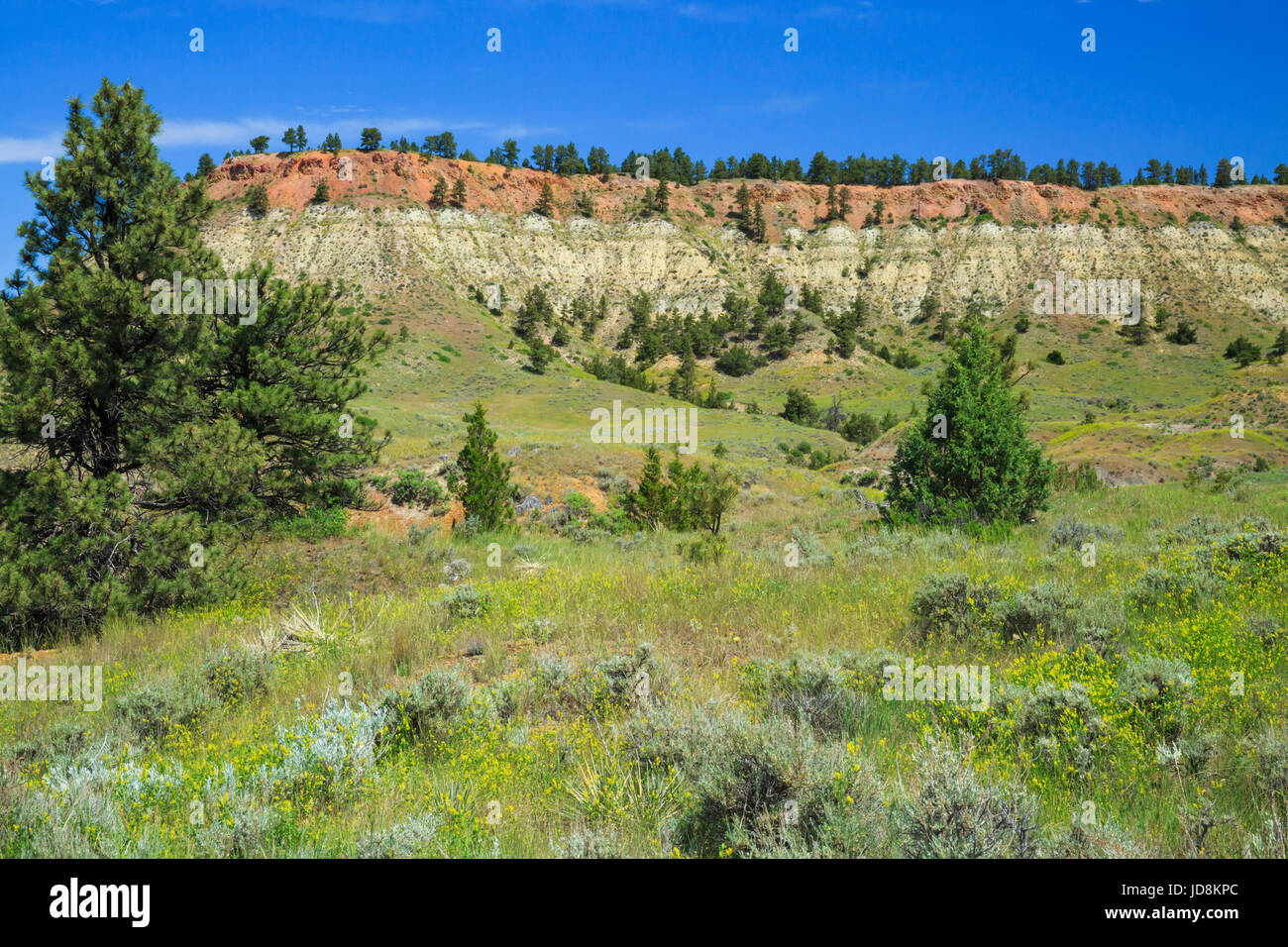 strawberry butte recreation area near miles city, montana Stock Photo Alamy