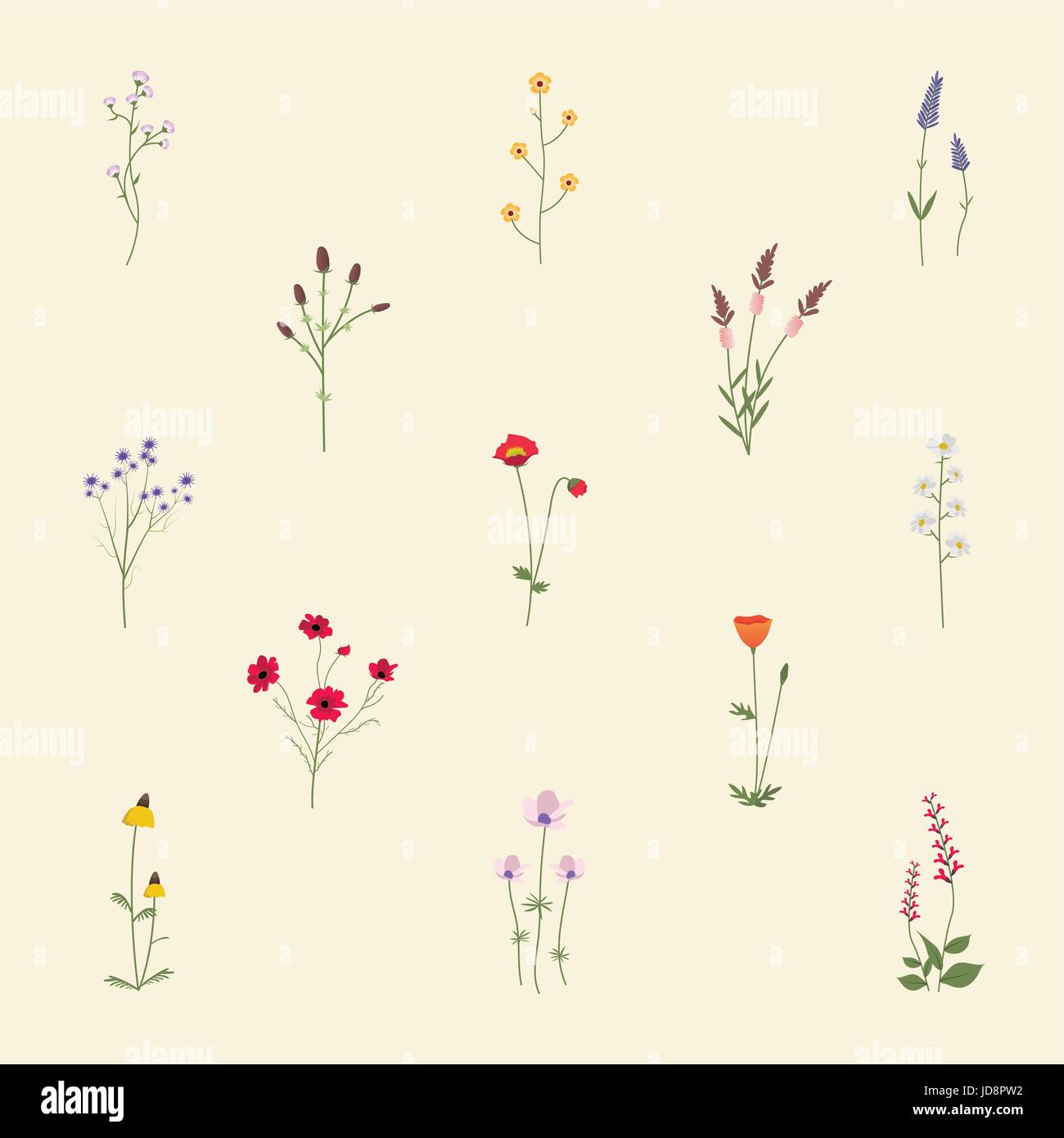 Set Collection of Wild Flowers Vector Illustration Stock Vector Image ...