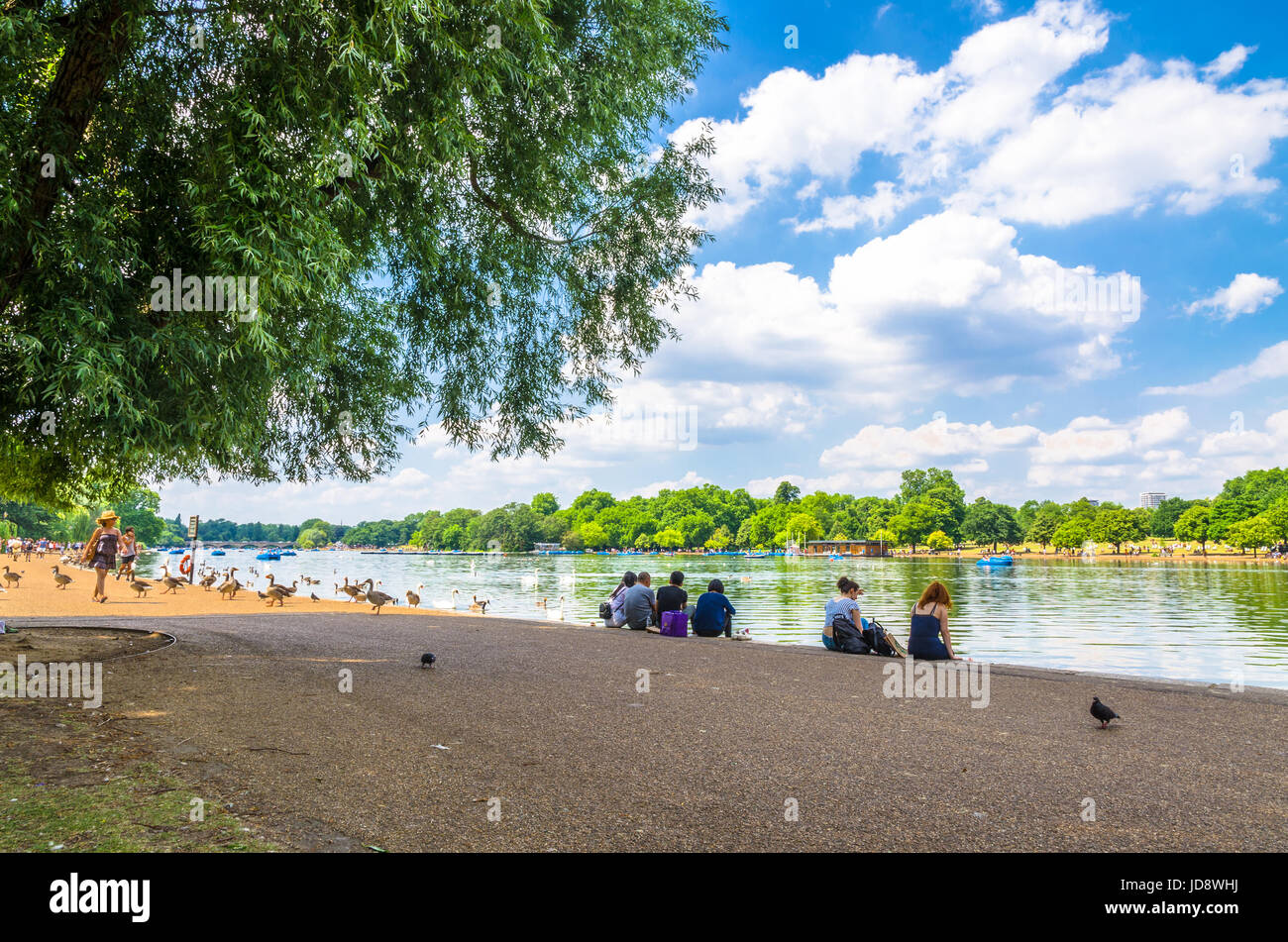 People enjoying Hyde Park in the June sunshine, London Stock Photo