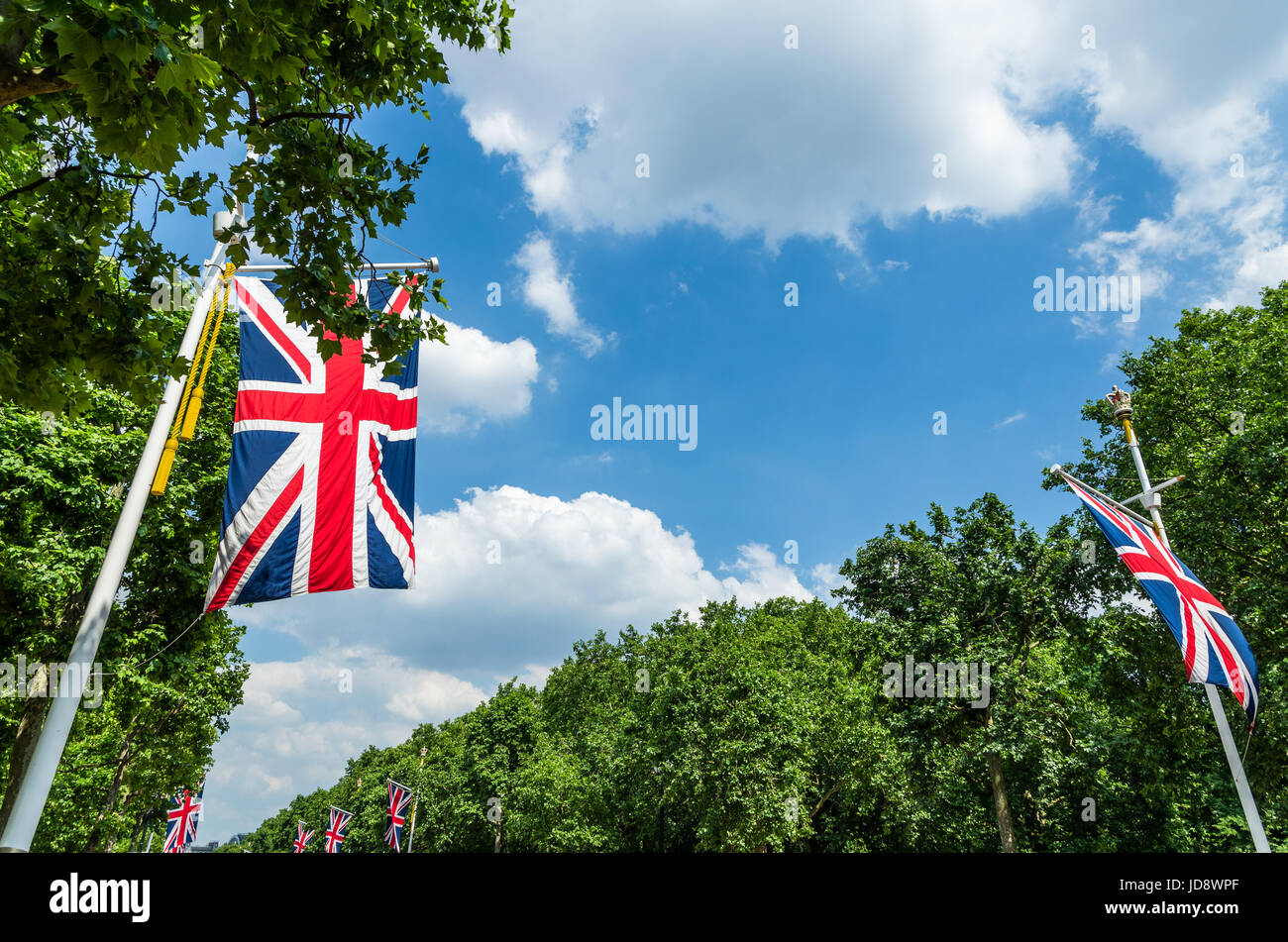 Union Jack flags by an avenue of trees Stock Photo