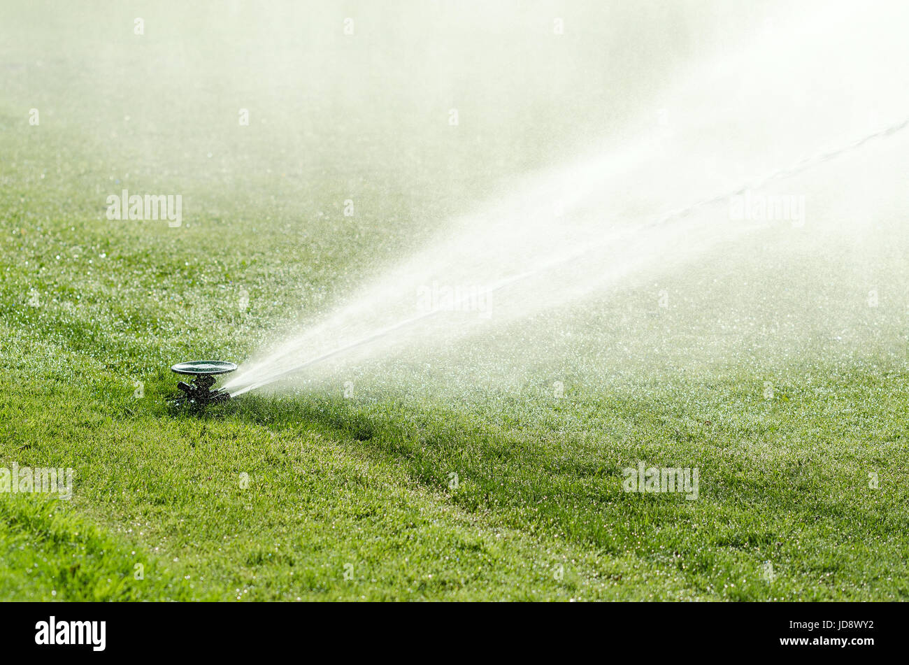 Impact sprinkler on lawn in action. Impulse sprinkler head with out streaming water fountain on artificial green lawn in full sunlight. Stock Photo