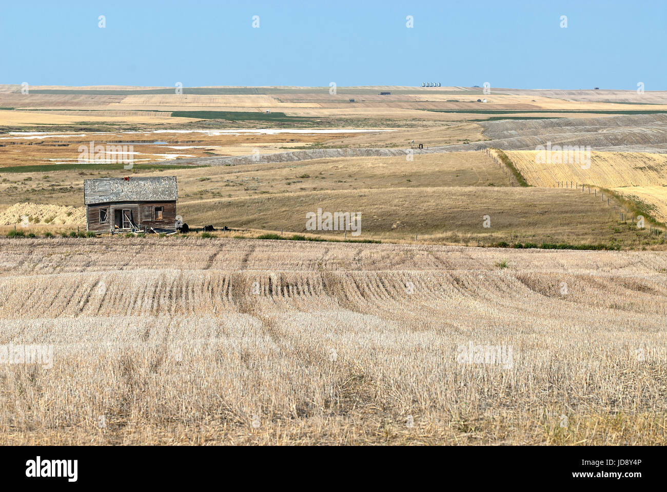 Old shack in prairie farming landscape Stock Photo