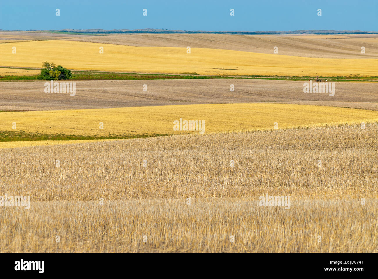 prairie fields Stock Photo