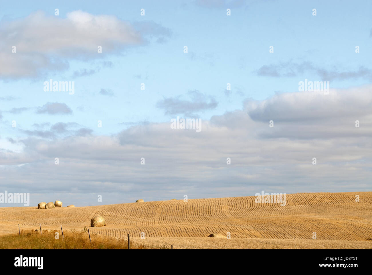 round hay bales on rolling hills Stock Photo
