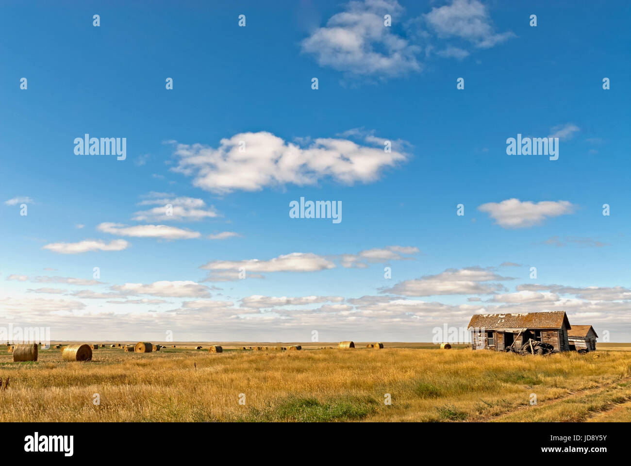 Abandoned farm shack under big prairie sky. Stock Photo