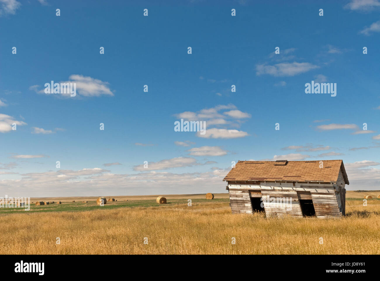 Abandoned shack in prairie field Stock Photo