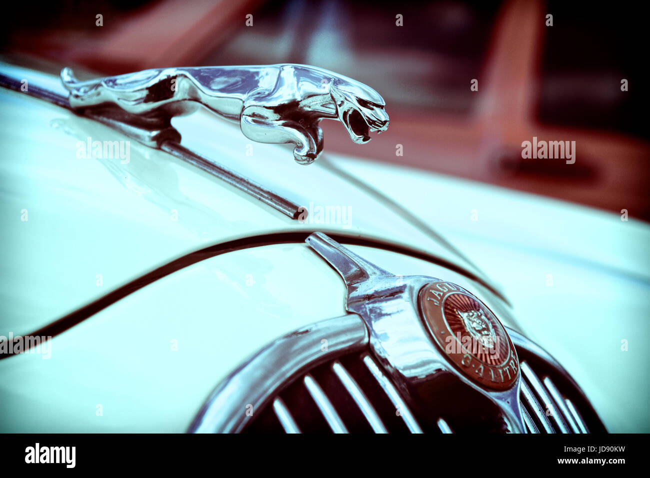 Leaping Jaguar hood emblem on the of a classic vintage motor car