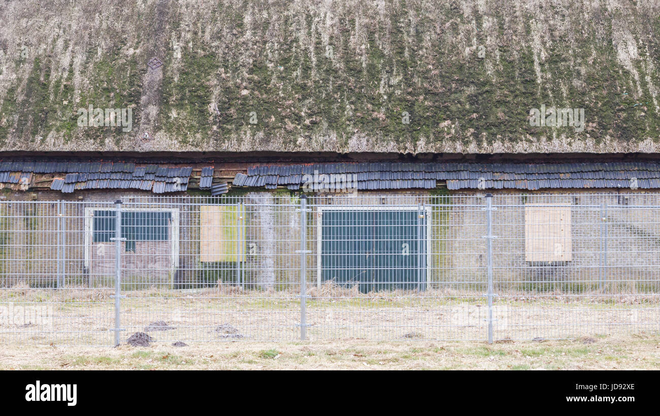 Broken abandoned farm in the Netherlands, Friesland Stock Photo - Alamy