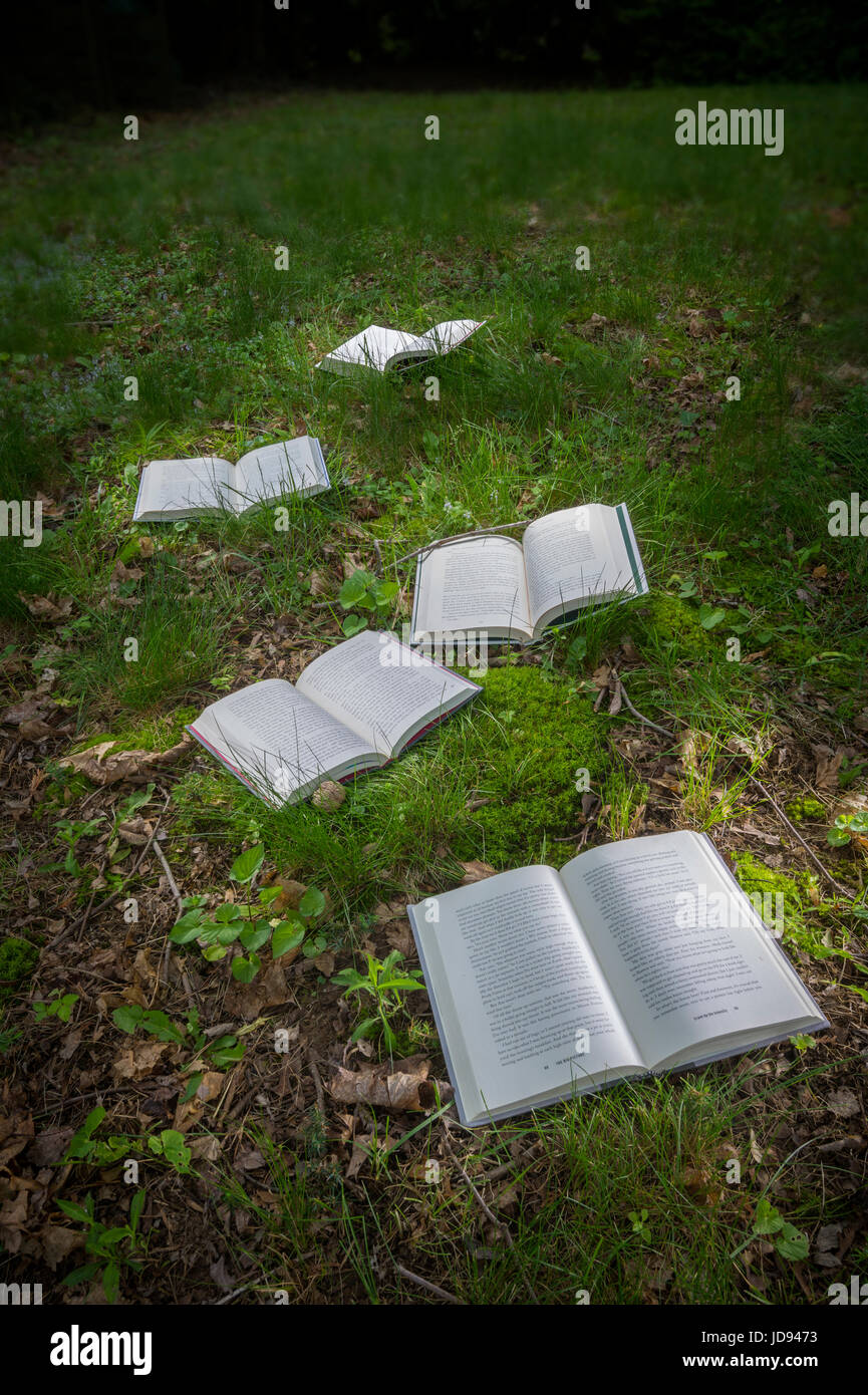 Open Books Outside In Field Of Grass & Flowers Stock Photo