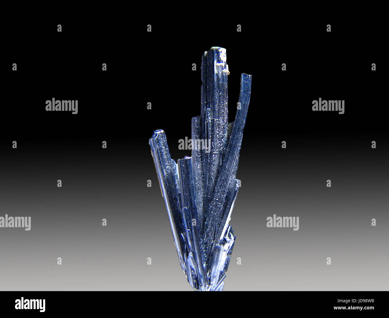 Mineral stibnite exhibiting its characteristic acicular (needle like) crystal habit. Stock Photo