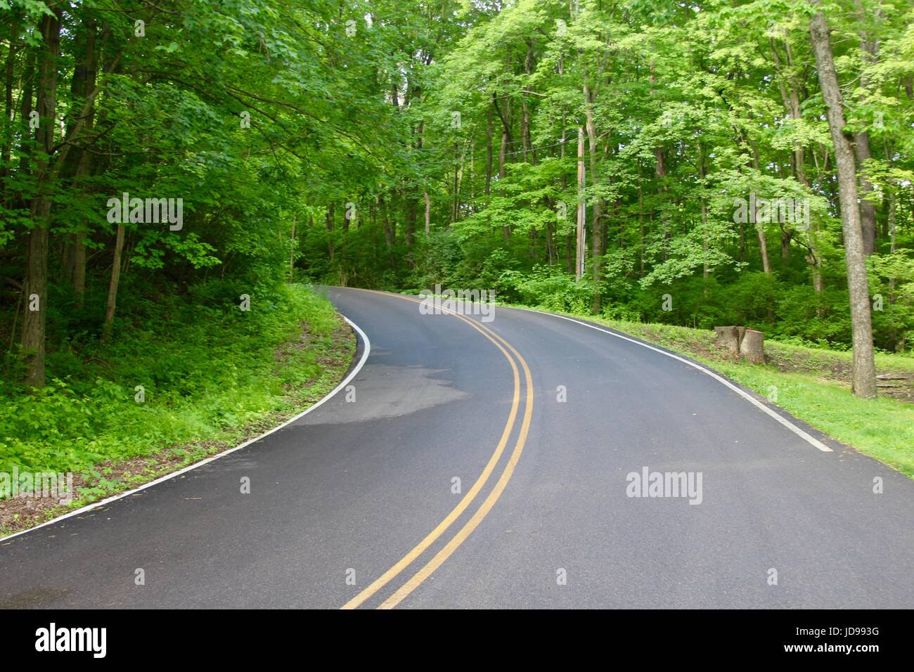 The beautiful landscape and the roads of a local park in Butler County ...