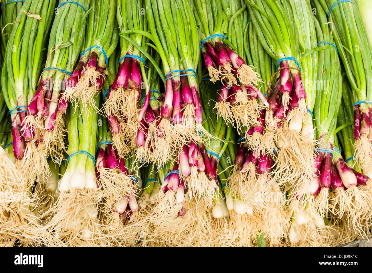 Display of red scallions at the farm market Stock Photo