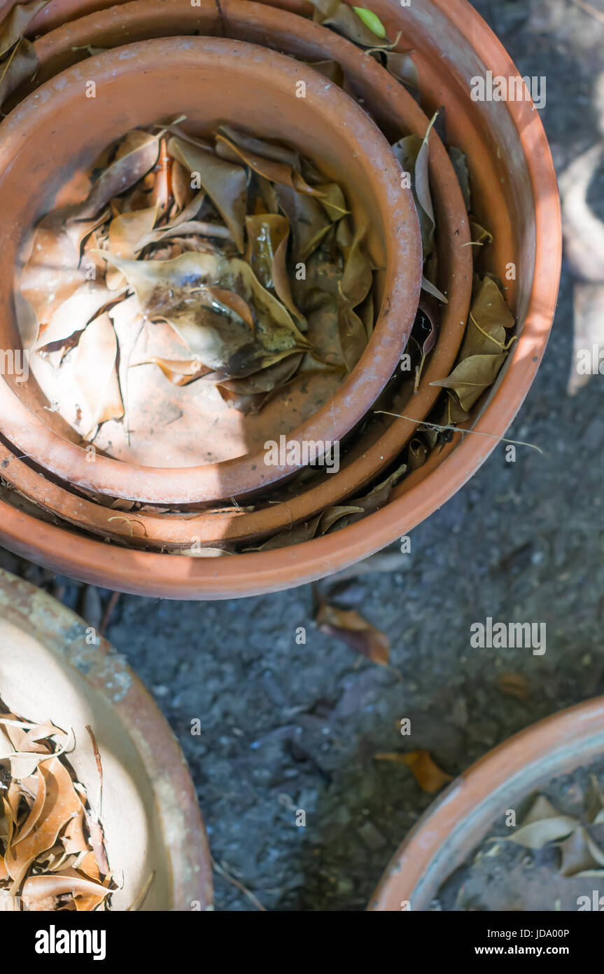 Top view of old terracotta pots and bases filled with dead leaves in corner of the backyard. Stock Photo