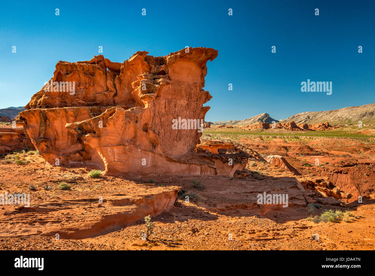 Eroded red Jurassic sandstone rocks, fossil sand dunes, in Little Finland area, Gold Butte National Monument, Mojave Desert, Nevada, USA Stock Photo