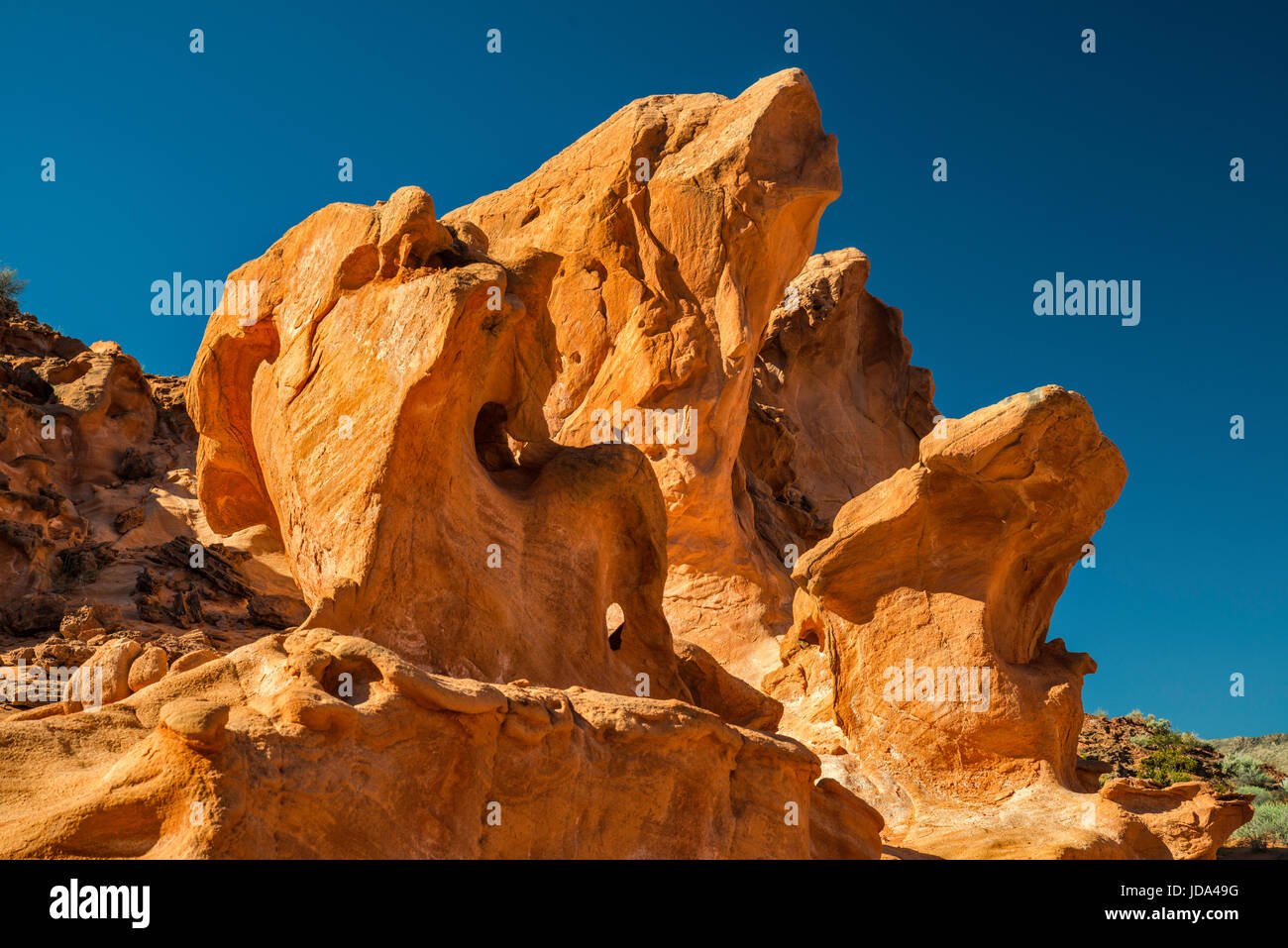 Eroded red Jurassic sandstone rocks, fossil sand dunes, in Little Finland area, Gold Butte National Monument, Mojave Desert, Nevada, USA Stock Photo