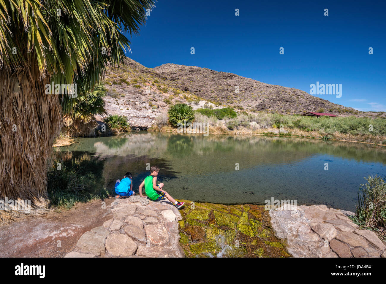 Young boys at pond at Rogers Spring, geothermal hot spring oasis near ...