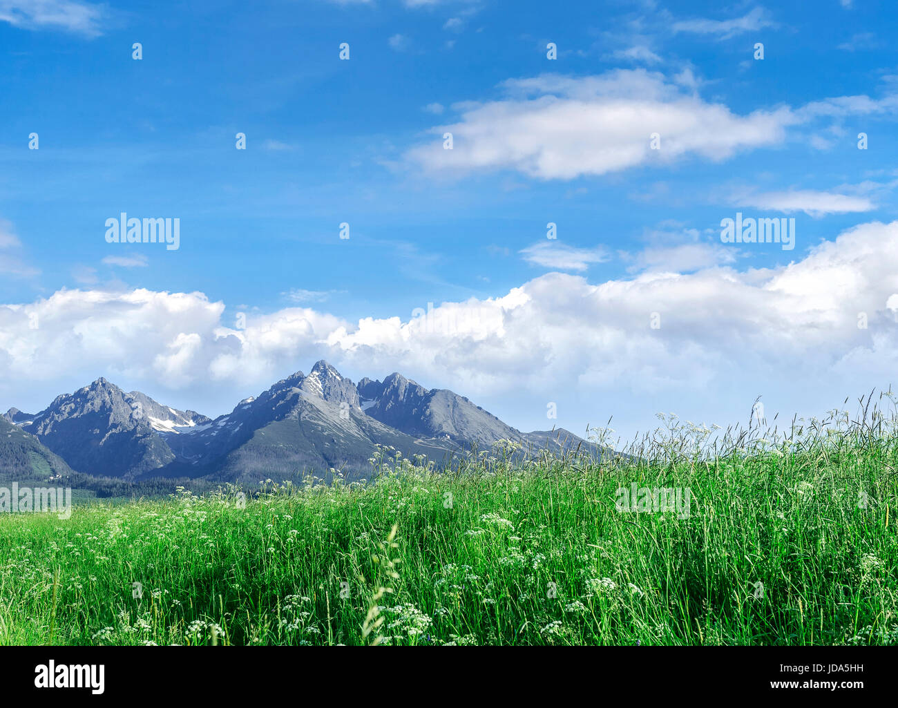 Beautiful mountain landscape. A look from the valley. Stock Photo