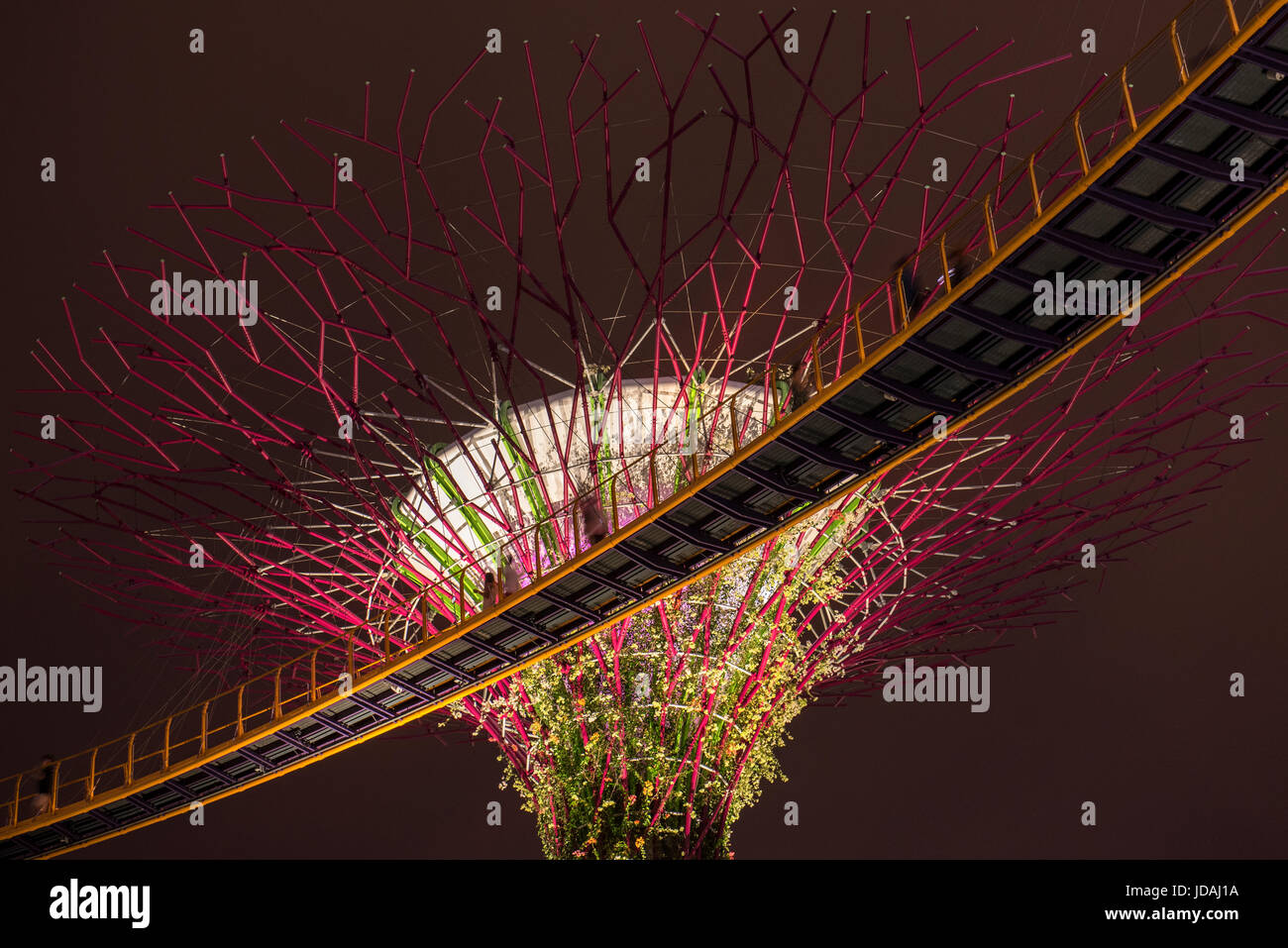 Gardens by the Bay, giant trees light show, Singapore Stock Photo Alamy